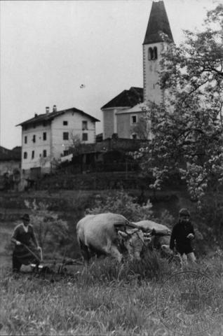 das Pflügen